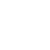 2e amendement États-Unis d’Amérique