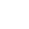 Gangster Sister