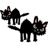 Team funny cats