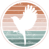 Bird Birds