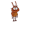 Flea Itch Itch