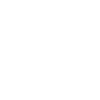 Donkey Esel