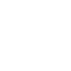 Donkey Esel