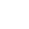 Donkey Esel