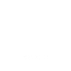 Drache Drachen
