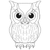Owl Bird Motif