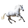 Cheval