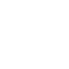 Skull head icon