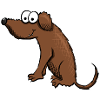 Dog friendly half-