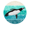 Penguin Seabird Seabird Retro Cadeau