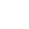 Pilot