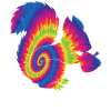 Teinture tie-dye de gland d’écureuil