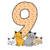 9th birthday