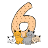6th birthday