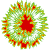 fleur rouge jaune vert