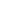 big bro