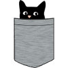 Black kitten in breast pocket