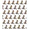 Rotkehlchen Vogelfreund Geschenk