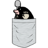 Mole Breast Pocket