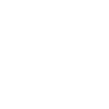 Turntable Vinyl