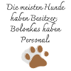 Bolonka