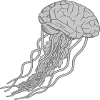 Brain Jellyfish Illustration