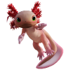 Axolotl