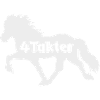4takter Islandpferd