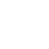 controller
