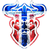 Viking Esports Emblem