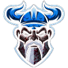 Viking Esports emblem