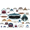 Requin