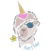 Alpaca / Lama - Unikorn? That's fake!