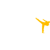 Kickboxen Evolution Kickboxer Karate Taekwondo