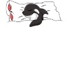Orca Wal Schlafshirt