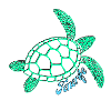 Sea turtle green - Tenerife