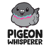 Funny pigeon lovers pigeon whisperers