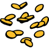 Coins Gold Gold Rain Taler