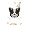 Cadeau d’anniversaire Border Collie