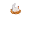 Poulet