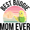 Budgerigar