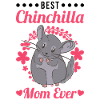 Best Chinchilla Mom Ever