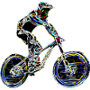 mountain biking downhill