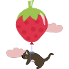 Susi le chat volant.