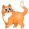 Le chat joyeux