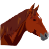 Pferdekopf