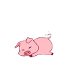 Cochon