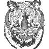 Tiger - Tiger head black white