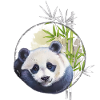 Cute panda bear with bamboo