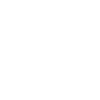dit activisme justice radical second 